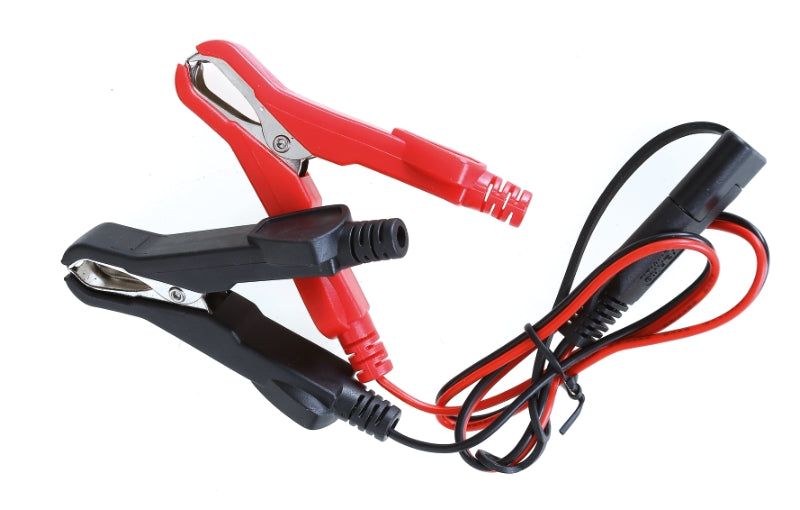 1498SM-SAVE MEMORIES CAR