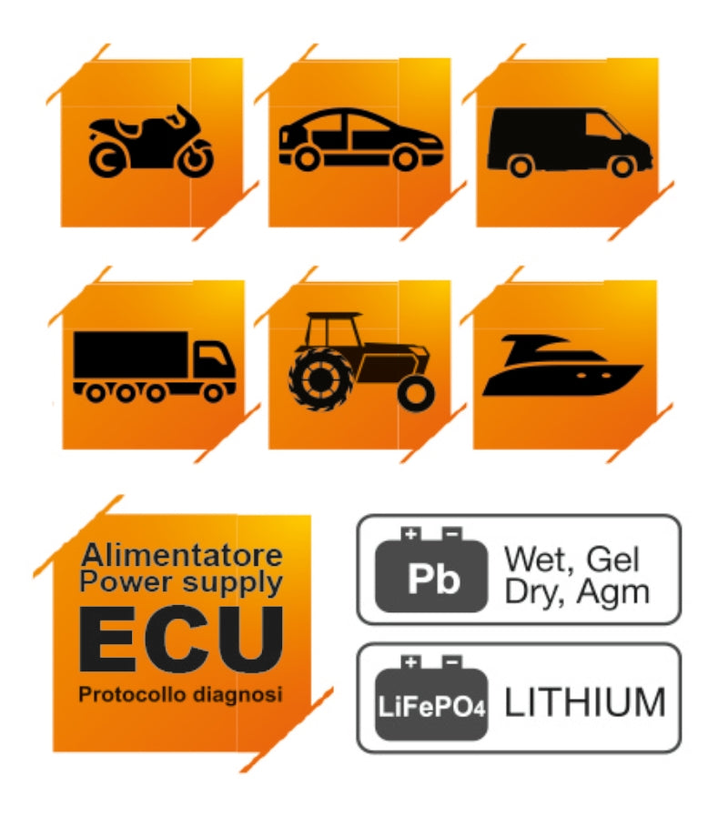 1498/30A-BATTERY CHARGER 12V