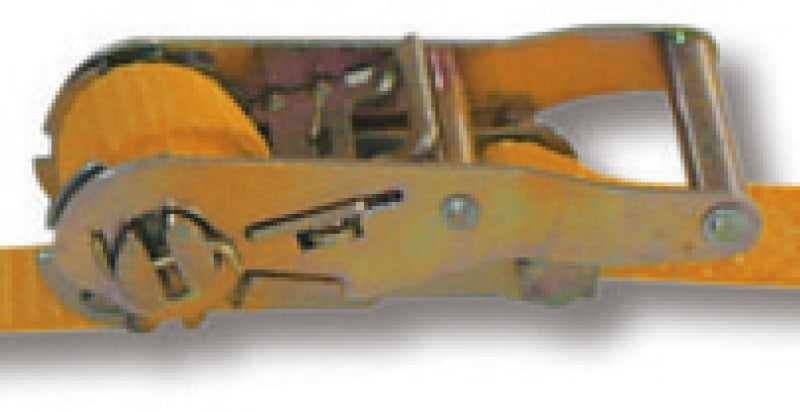 81850005