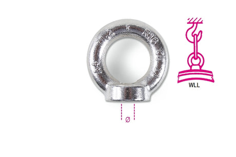 8242F M24-LIFTING FORG.EYENUTS AISI316L