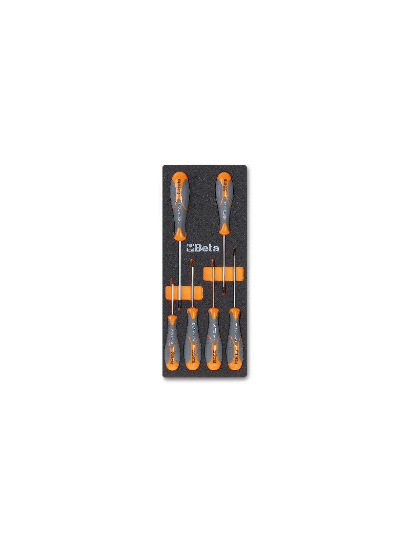 M174-SOFT THERMOFORMED TRAY WITH 6 TOOLS