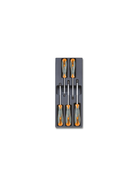 T176-HARD THERMOFORMED TRAY WITH 5 TOOLS