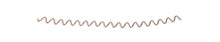 1366S/R21-CRIMPED WIRES, 10 PIECES
