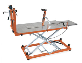 3910-E-BIKE LIFT