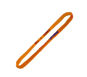81790504
