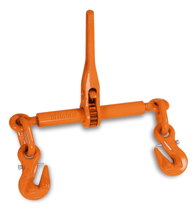 81900010