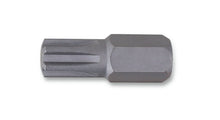 867RIBE 10-BITS FOR RIBE® SCREWS