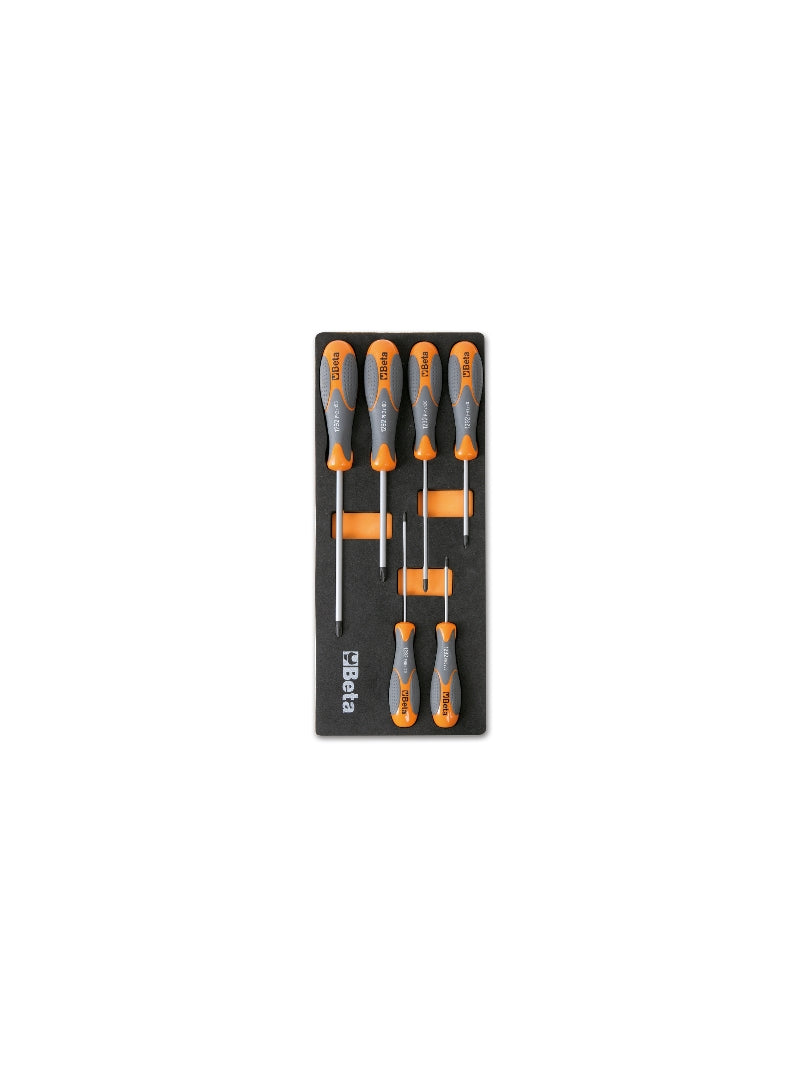 M172-SOFT THERMOFORMED TRAY WITH 6 TOOLS