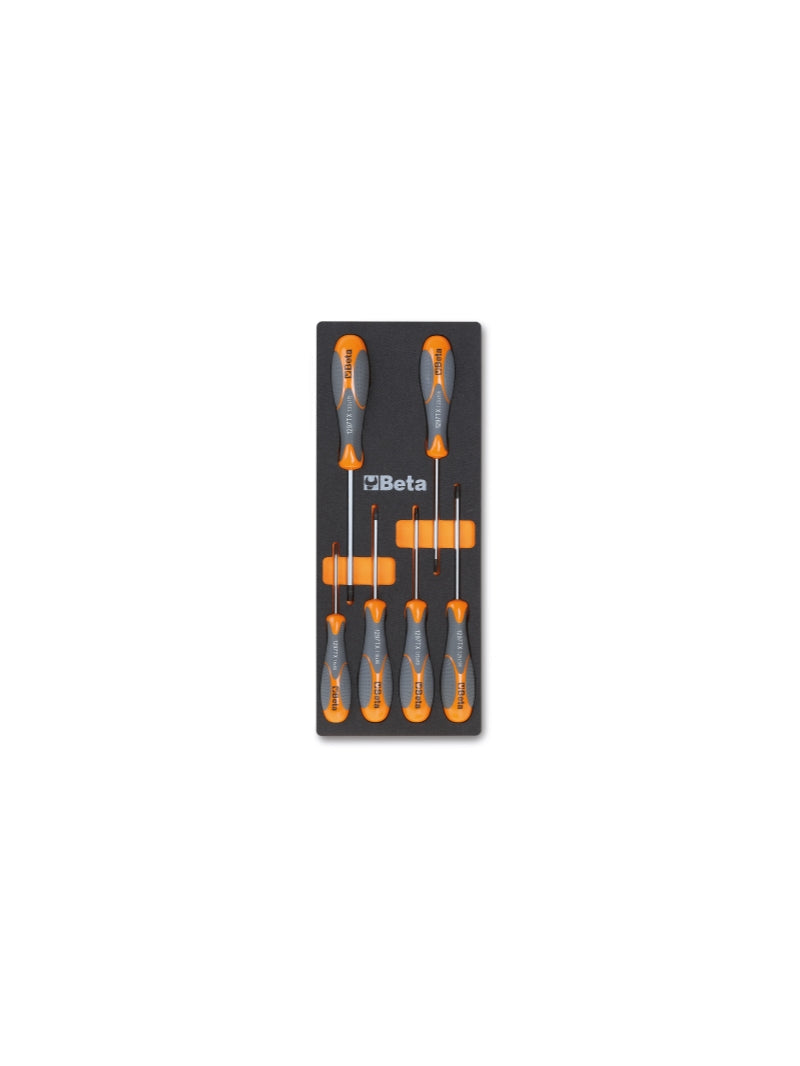 M174-SOFT THERMOFORMED TRAY WITH 6 TOOLS