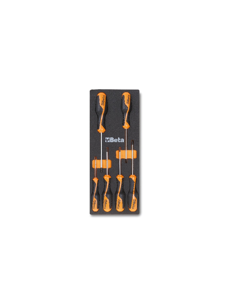M204-SOFT THERMOFORMED TRAY WITH 6 TOOLS