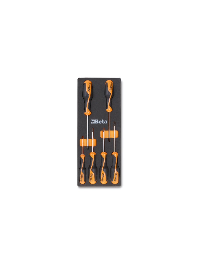M204-SOFT THERMOFORMED TRAY WITH 6 TOOLS