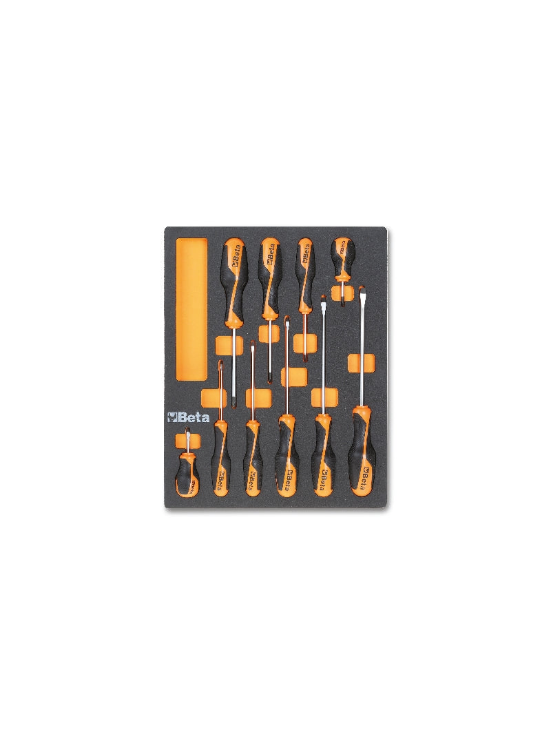 M208-SOFT THERMOFORM. TRAY WITH 10 TOOLS