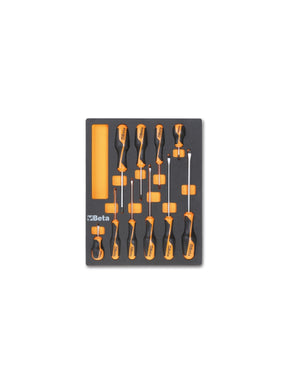 M208-SOFT THERMOFORM. TRAY WITH 10 TOOLS