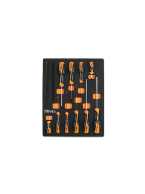 M209-SOFT THERMOFORM. TRAY WITH 10 TOOLS