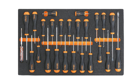 M213-SOFT THERMOFORMED TRAY WITH 25TOOLS