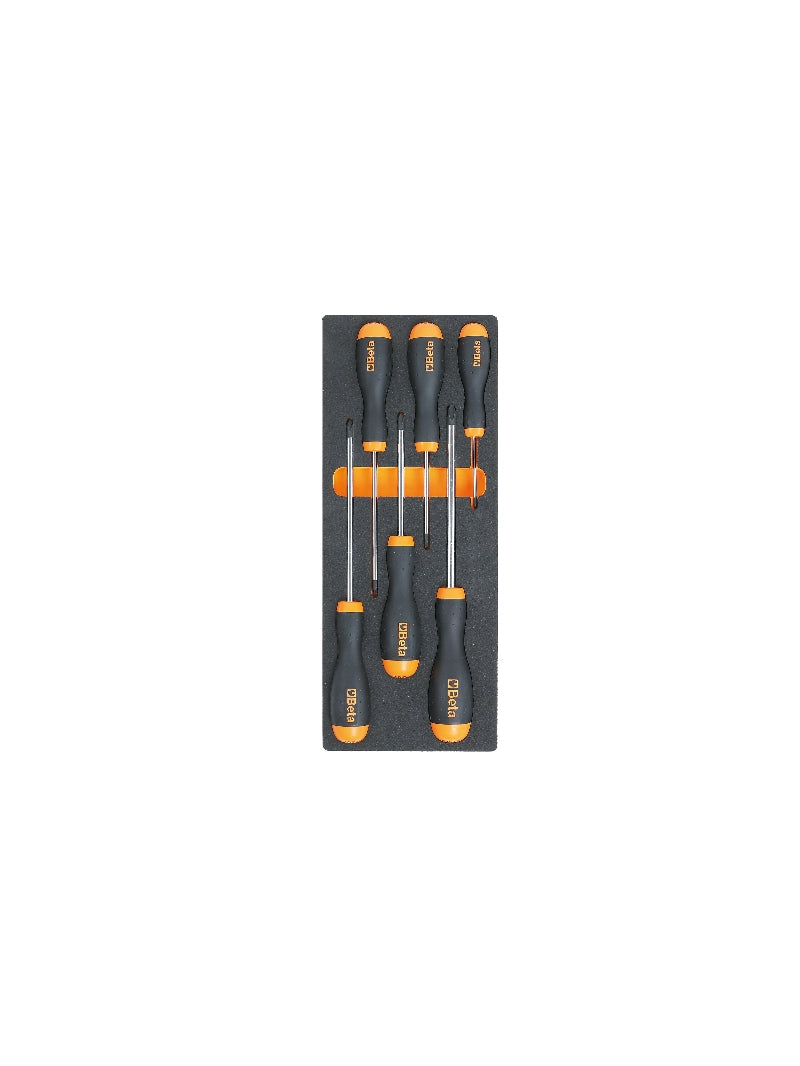 M216-SOFT THERMOFORMED TRAY WITH 6 TOOLS