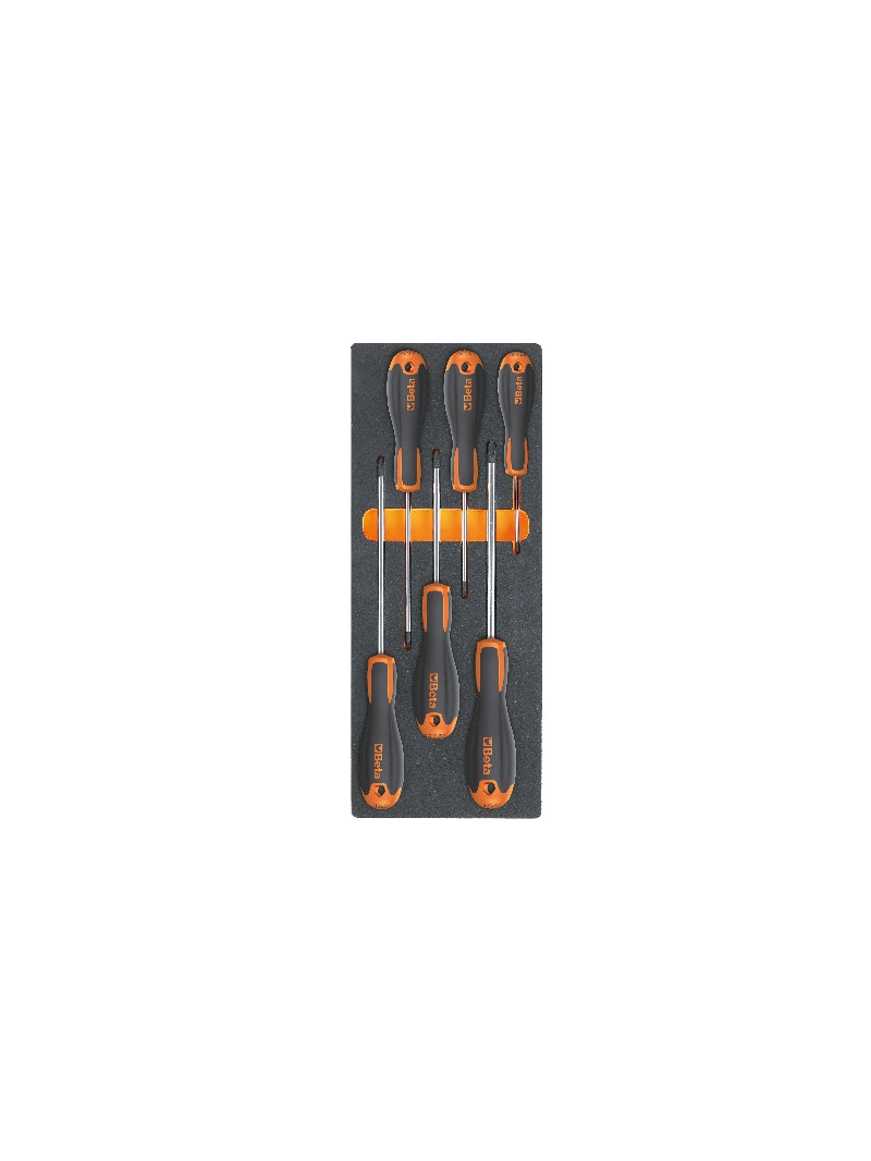 M216-SOFT THERMOFORMED TRAY WITH 6 TOOLS