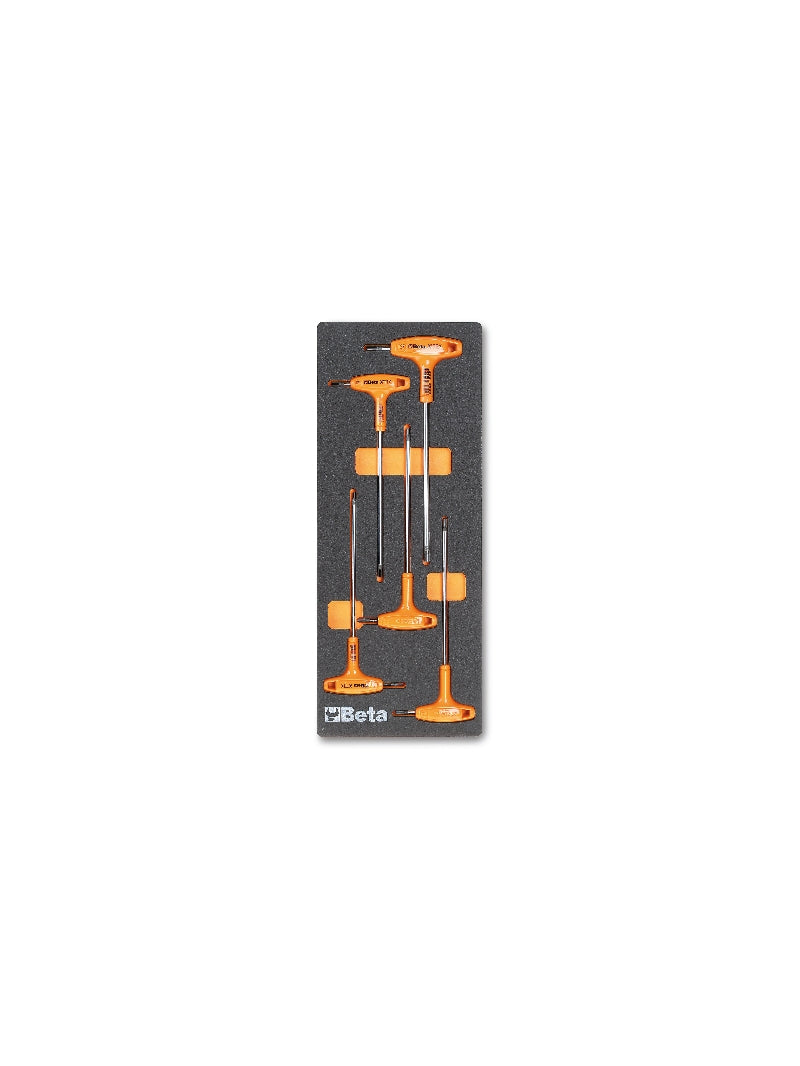 M55-SOFT THERMOFORMED TRAY WITH 5 TOOLS