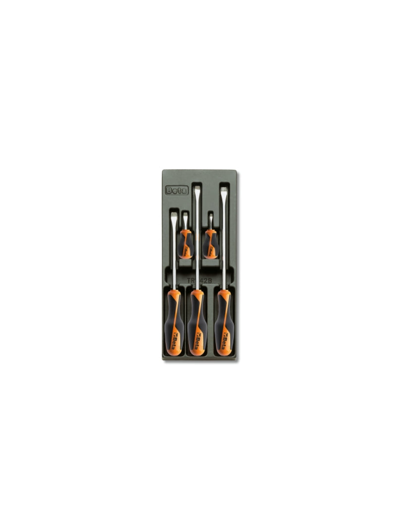 T201-HARD THERMOFORMED TRAY WITH 5 TOOLS