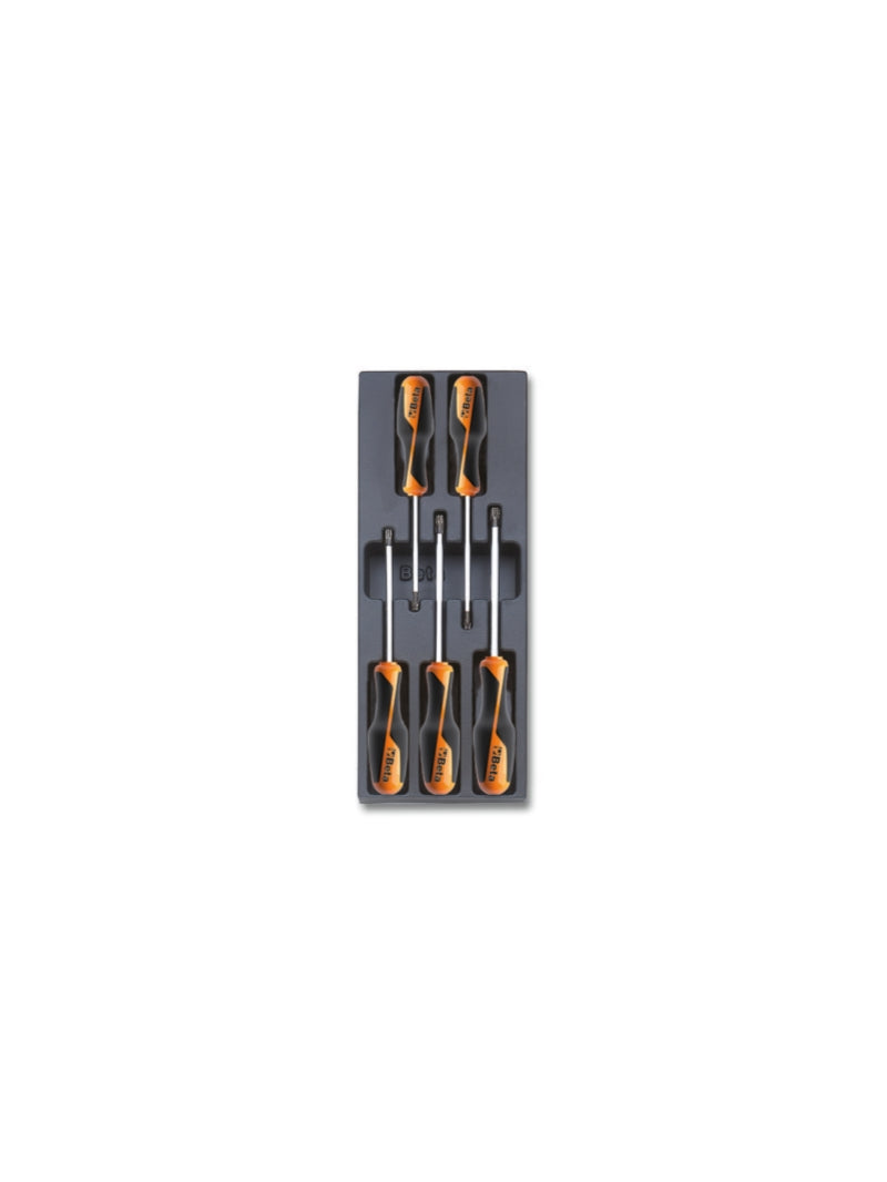 T206-HARD THERMOFORMED TRAY WITH 5 TOOLS
