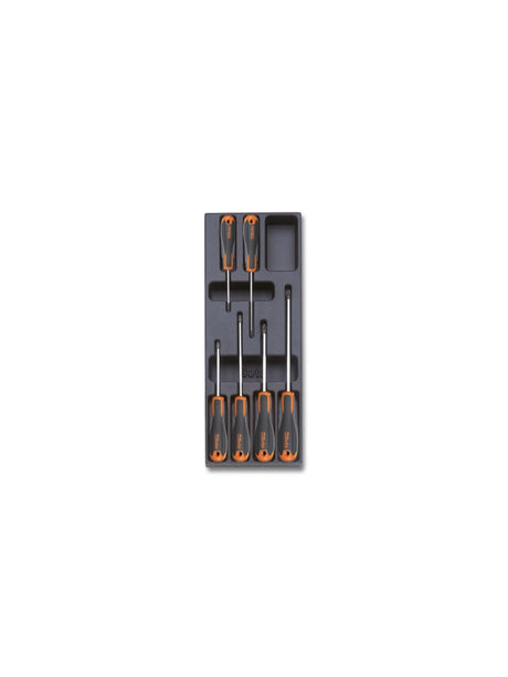 T213-HARD THERMOFORMED TRAY WITH 6 TOOLS