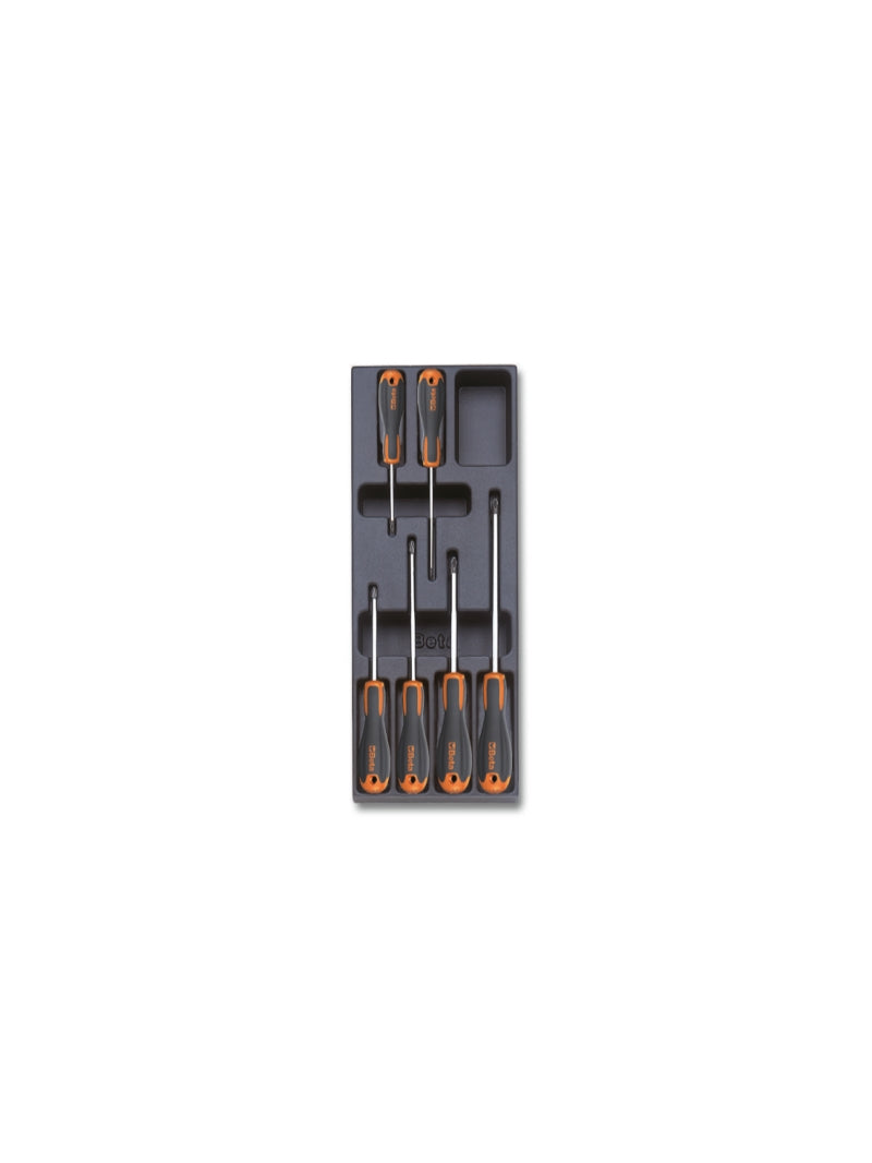 T213-HARD THERMOFORMED TRAY WITH 6 TOOLS