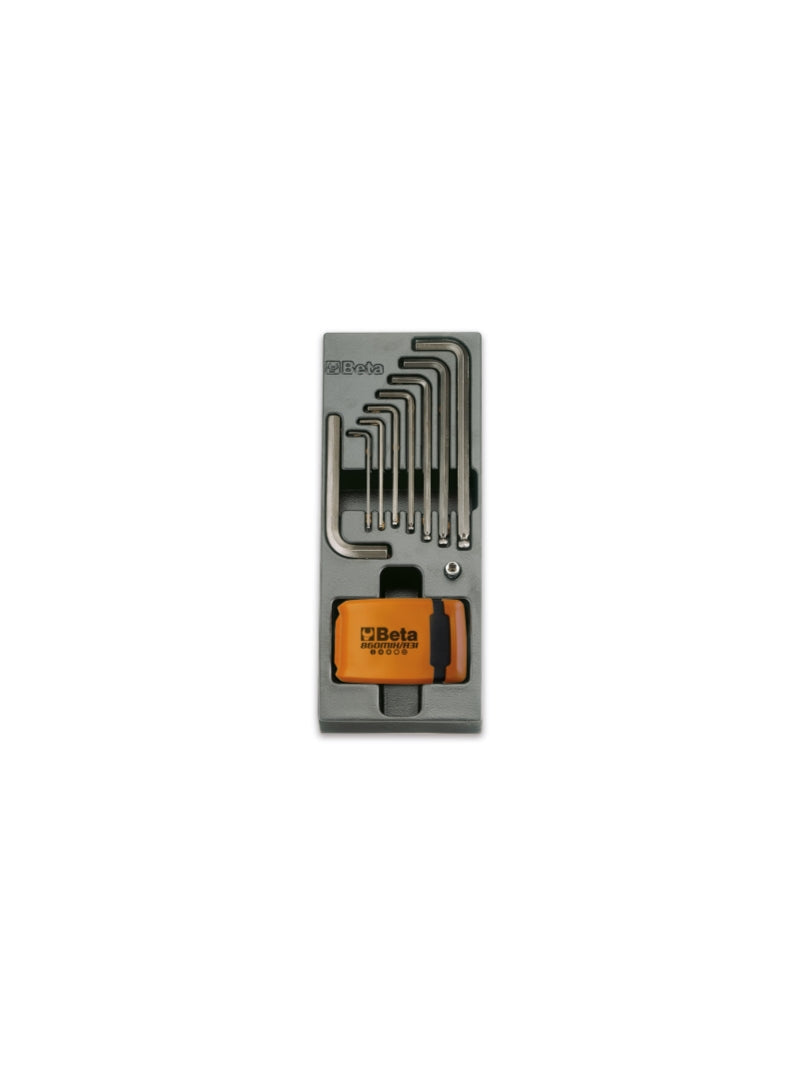 T259-HARD THERMOFORM. TRAY WITH 40 TOOLS