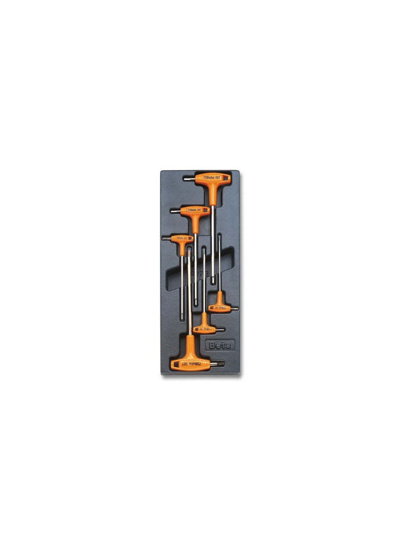T52-HARD THERMOFORMED TRAY WITH 6 TOOLS