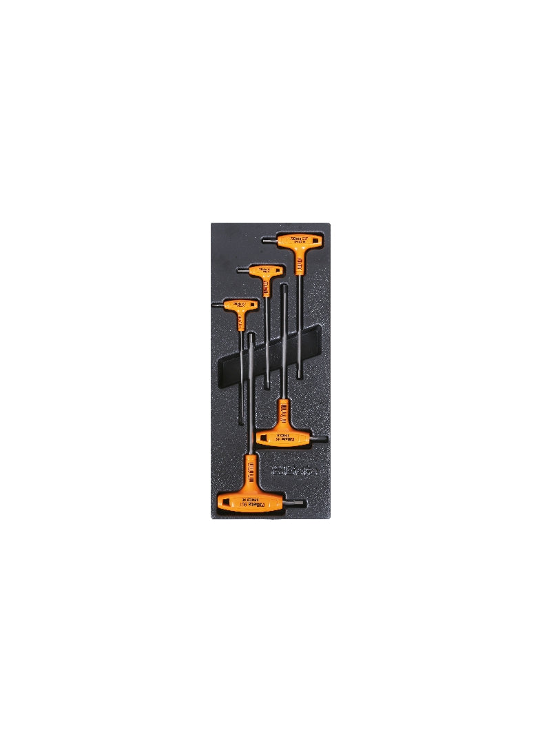 T57-HARD THERMOFORMED TRAY WITH 5 TOOLS